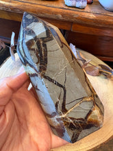 Septarian Point SKU 26670
