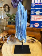 Blue Kyanite Cluster on Stand SKU 26386