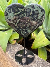 Kambaba Jasper Heart in Stand SKU 27052