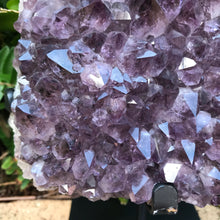 Amethyst Cluster in Metal Stand SKU 23778