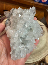 Apophyllite Cluster SKU 24827