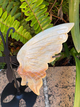 Amazonite Winged Butterfly SKU 25316A