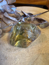 Citrine Facet Cut Freeform SKU 25043