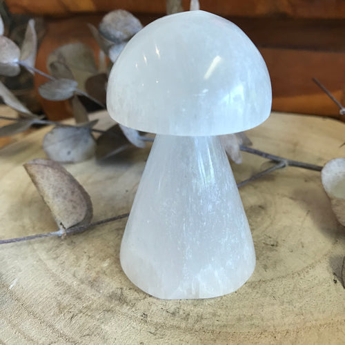 Selenite Mushroom Carving SKU 23079B