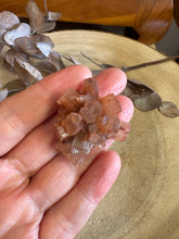 Aragonite Sputnik SKU 24606