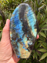 Labradorite Polished Freeform SKU 25470