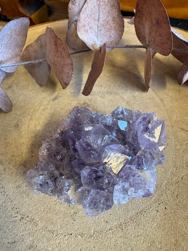 Amethyst Small Cluster SKU 23390