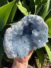 Celestite Cluster SKU 26187