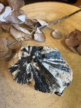 Black Tourmaline in Matrix Specimen SKU 24959