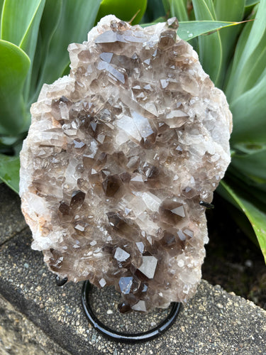 Smoky Quartz Cluster in Stand SKU 26173
