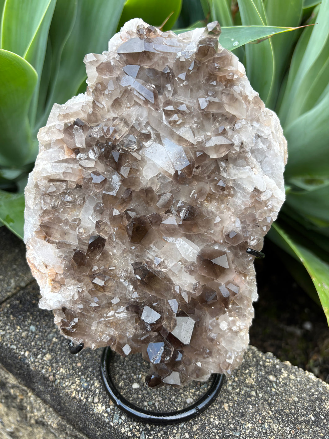 Smoky Quartz Cluster in Stand SKU 26173