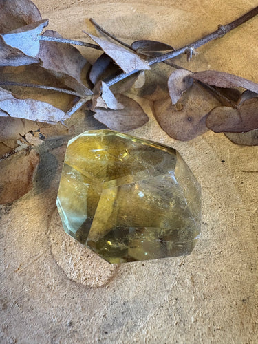 Citrine Facet Cut Freeform SKU 25044