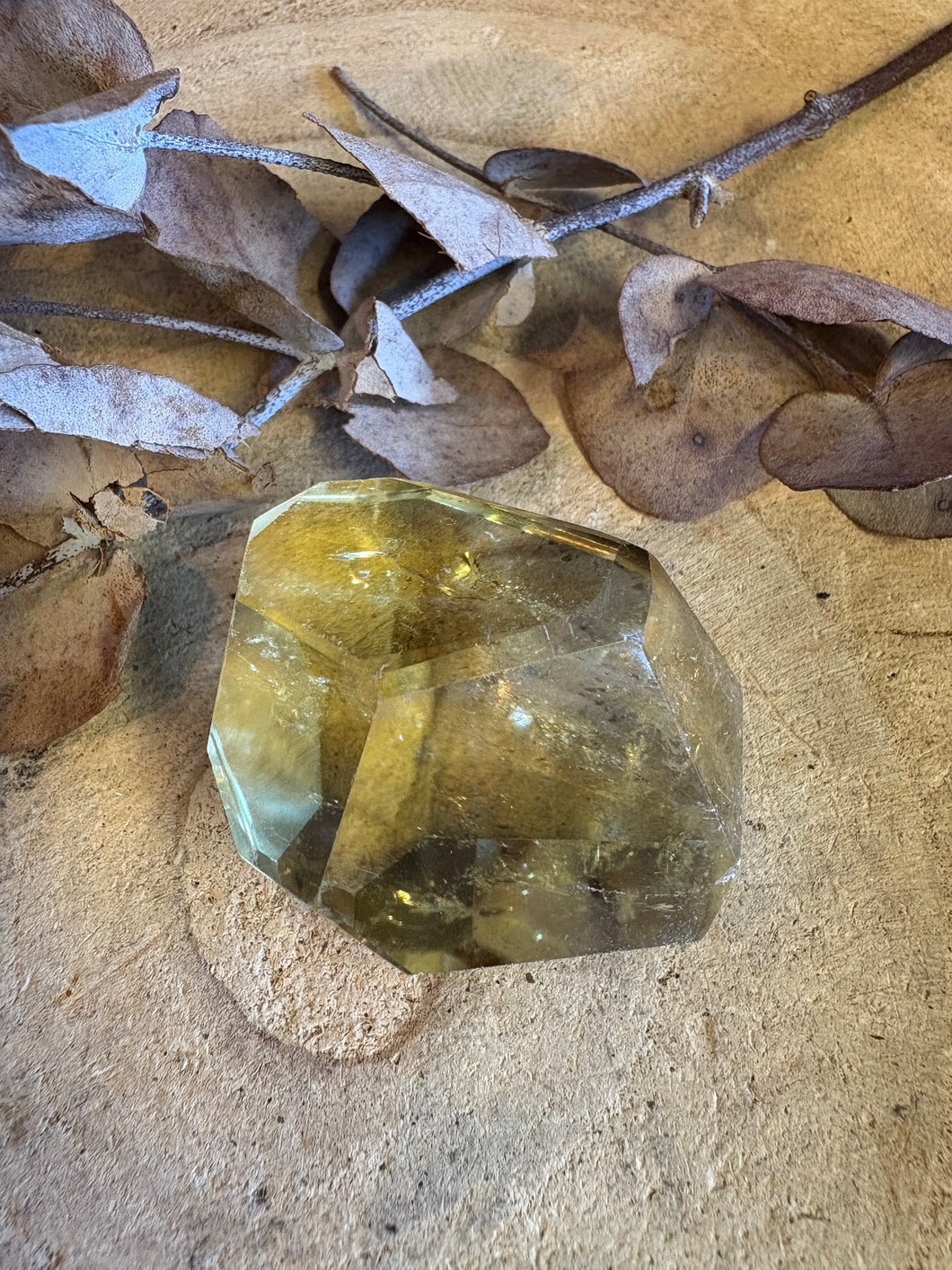 Citrine Facet Cut Freeform SKU 25044