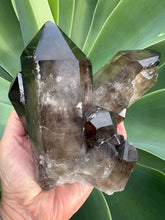 Smoky Quartz Large Cluster SKU 26189