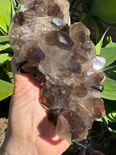 Smoky Quartz Cluster in Stand SKU 26629