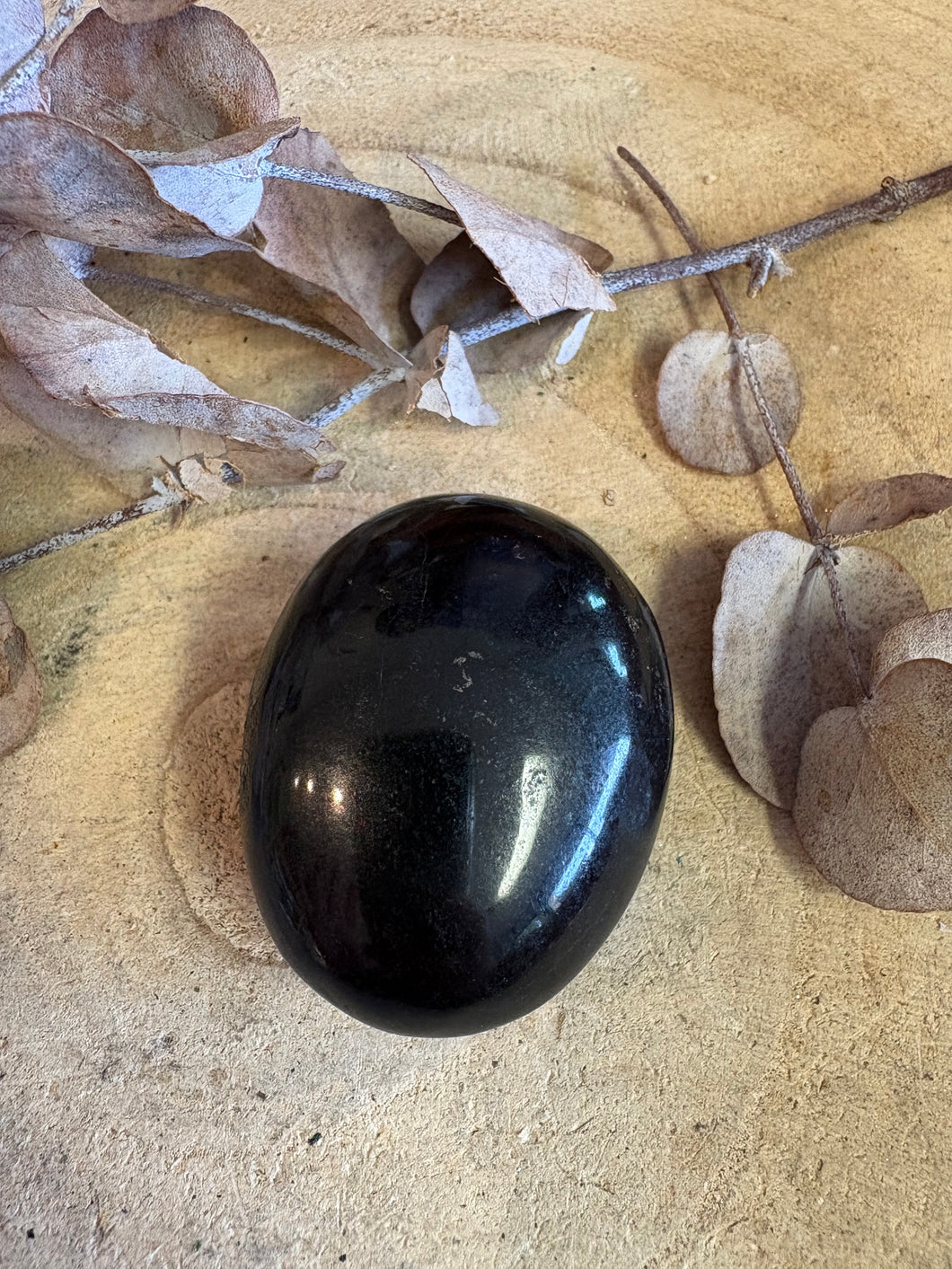 Black Tourmaline Palm Stone SKU 25267