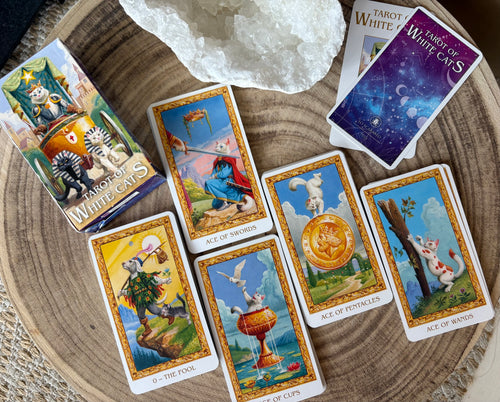 Secondhand Tarot of White Cats