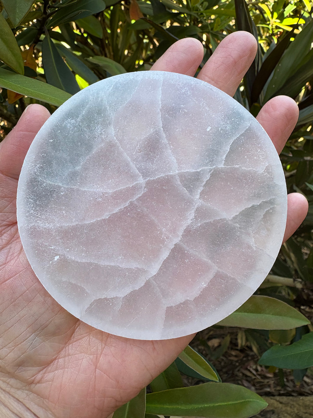 Selenite Disc