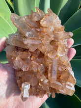 Tangerine Quartz Cluster SKU 26628