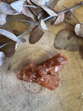 Aragonite Sputnik SKU 24423
