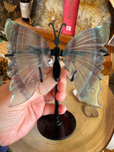 Rainbow Fluorite Butterfly Wings in Stand SKU 23949B