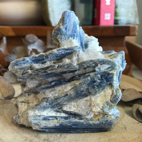 Blue Kyanite Cluster SKU 23321