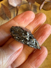 Campo del Cielo Meteorite SKU 26231