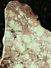 Lemon Chrysophase Slab SKU 25020
