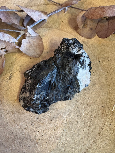 Black Tourmaline Specimen SKU 24966