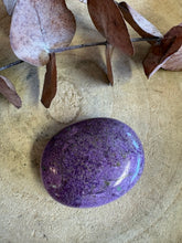 Serpentine & Stichtite Palm Stone SKU 25744