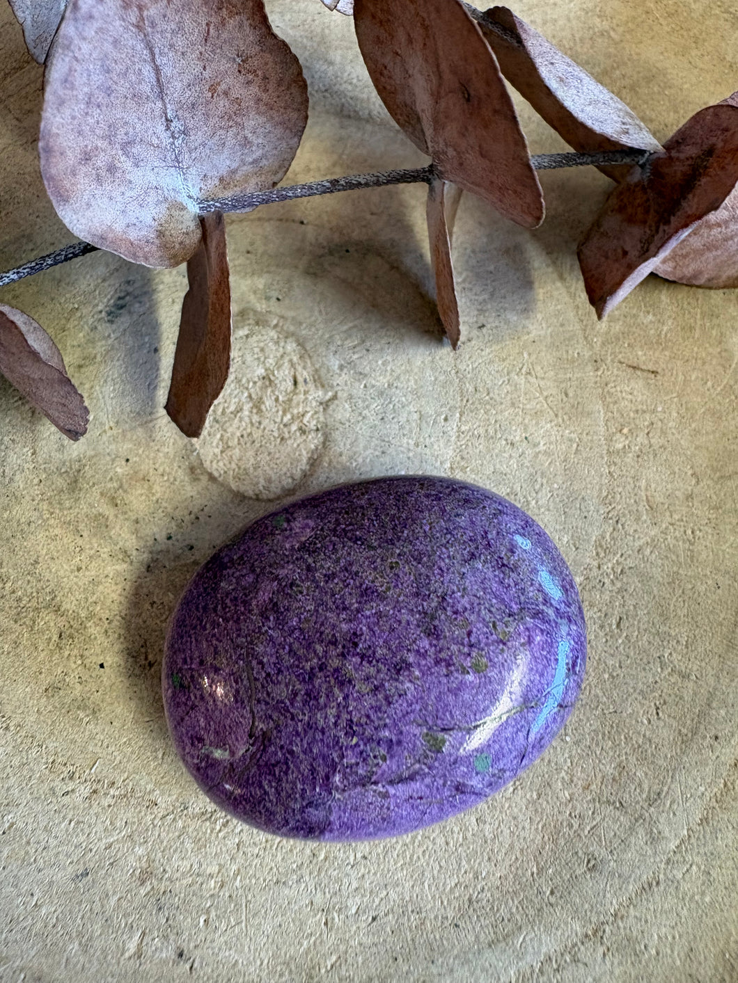 Serpentine & Stichtite Palm Stone SKU 25744