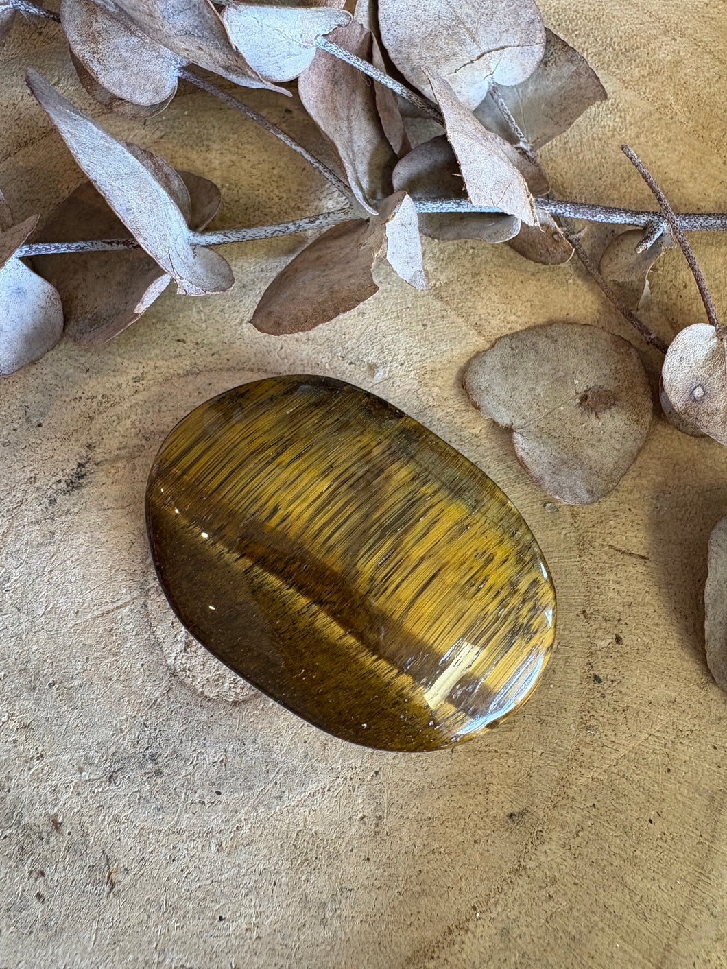 Tiger Eye Palm Stone SKU 24496