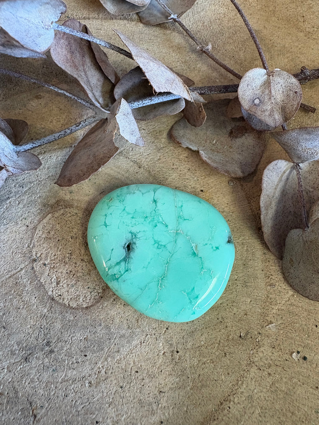 Green Chrysophase Smooth Stone SKU 24461B