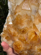 Citrine Large Cluster SKU 25332