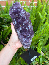 Amethyst Cluster in Stand SKU 24531