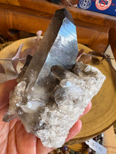 Smoky Quartz Cluster SKU 26190
