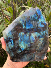 Labradorite Part Polished Freeform SKU 25403