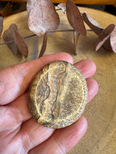 Picture Jasper Worry Stone SKU 25694