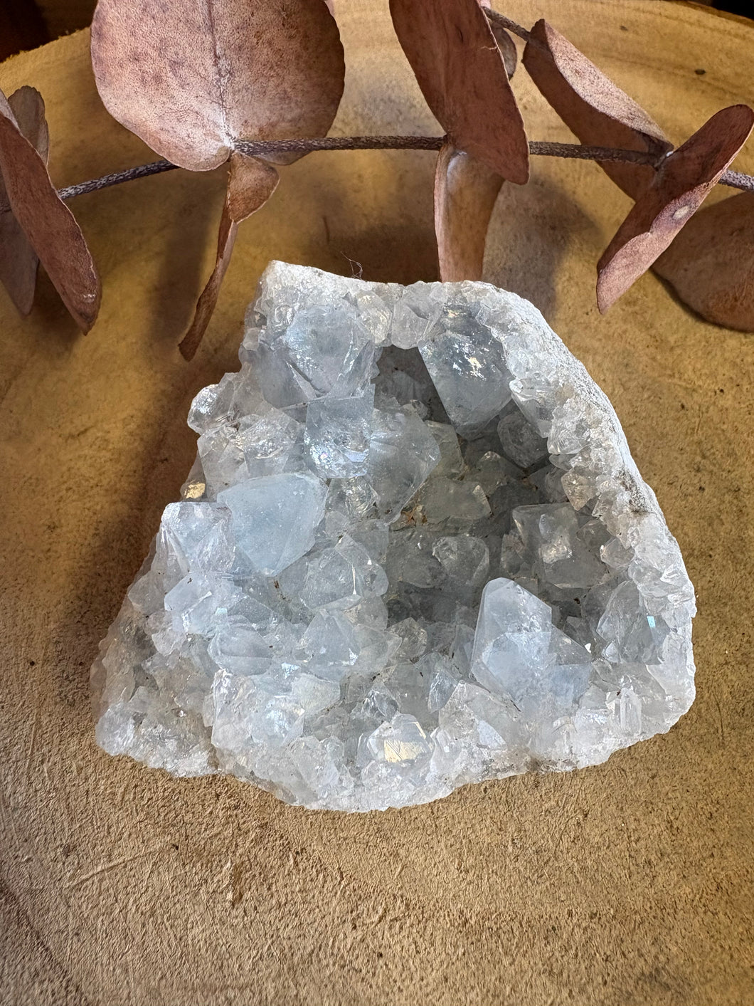 Celestite Cluster SKU 26324