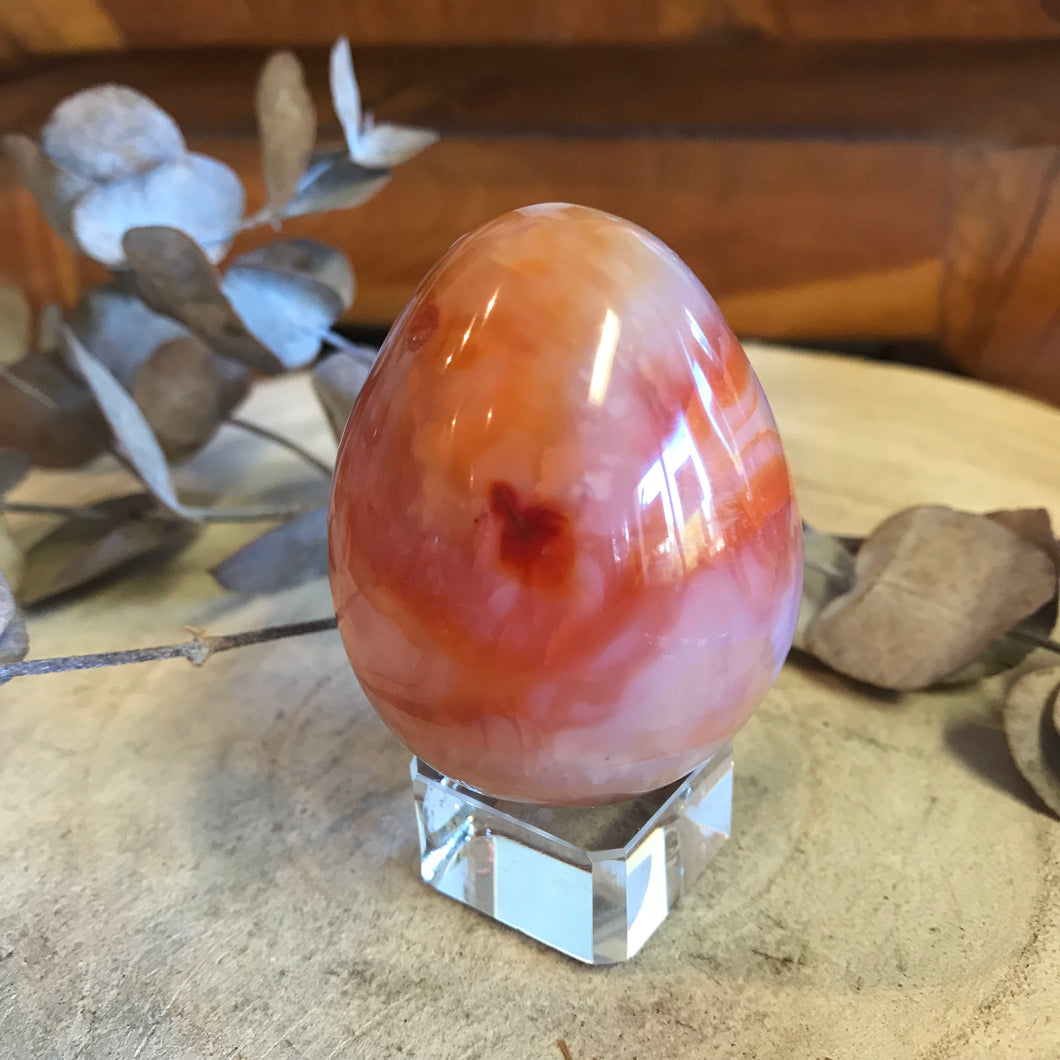 Carnelian Egg SKU 23464