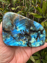 Labradorite Polished Freeform SKU 25471