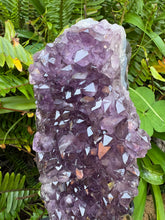 Amethyst Cluster in Stand SKU 24531