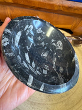 Orthoceras Fossil Bowl SKU 26048