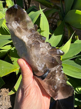 Smoky Quartz Cluster in Stand SKU 26629
