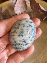 Dendritic Opal Palm Stone SKU 25600