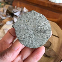 Pyrite Sun SKU 22913