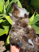 Smoky Quartz Cluster in Stand SKU 26629