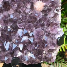 Amethyst Cluster in Metal Stand SKU 23778