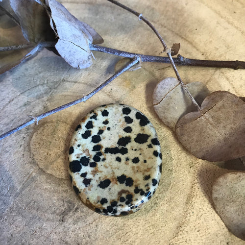 Dalmatian Jasper Worry Stone SKU 23777