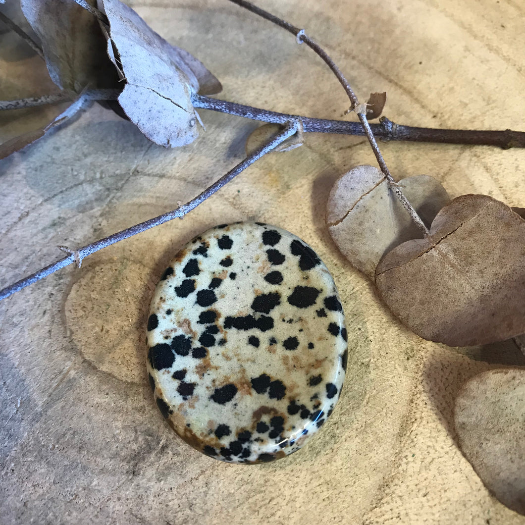 Dalmatian Jasper Worry Stone SKU 23777
